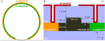 Field-Induced Nonlinearities in Silicon Waveguides Embedded in Lateral p-n Junctions